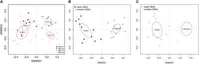 Dead or Alive; or Does It Really Matter? Level of Congruency Between Trophic Modes in Total and Active Fungal Communities in High Arctic Soil